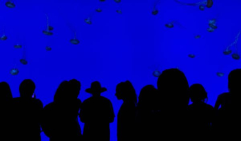 people silhouettes with blue background people silhouettes with blue background