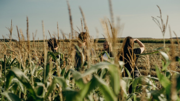 People Standing in a Corn Plant Field People Standing in a Corn Plant Field