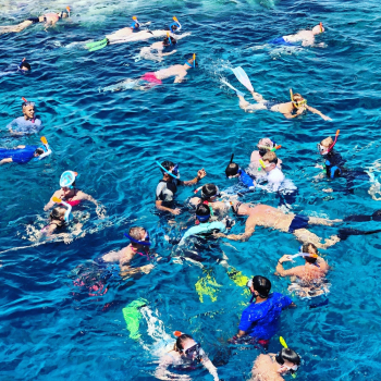 People Swimming People Swimming