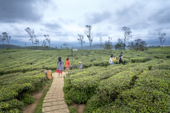 People Walking Near Bushes People Walking Near Bushes