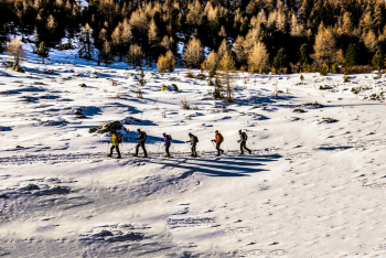 People Walking on Snow People Walking on Snow