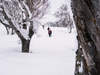 People Walking on Snow People Walking on Snow