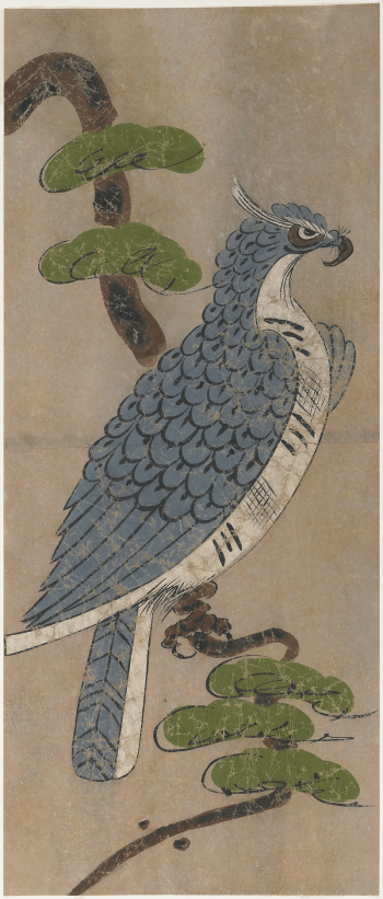 Peregrine Falcon during 18th century | Free Photo - rawpixel Peregrine Falcon during 18th century | Free Photo - rawpixel