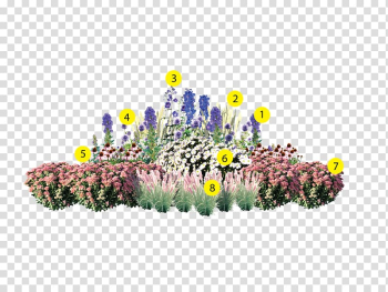 Perennial plant Slovakia Garden Plants Záhradná architektúra, kalendar 2018 slovakia transparent background PNG clipart