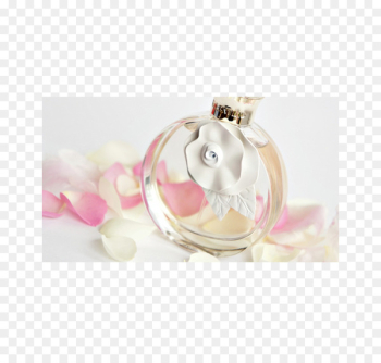 Perfume Chanel Eau de parfum Valentino SpA Christian Dior SE - perfume 