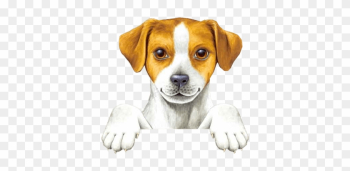 Perros Animados Png Sin Fondo - Dog Thank You Gifs Perros Animados Png Sin Fondo - Dog Thank You Gifs