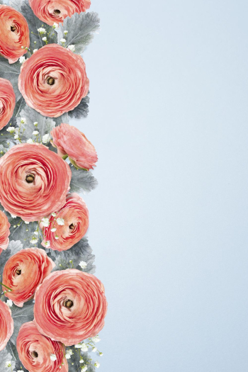 Persian buttercups border background background, | Free Photo - rawpixel Persian buttercups border background background, | Free Photo - rawpixel