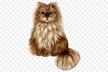 Persian Cat, Kitten, Pet, Cat, Mammal PNG Persian Cat, Kitten, Pet, Cat, Mammal PNG