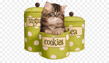 Persian cat Tabby cat Cat lady Dog Black Cat and Moon - Persian cat Tabby cat Cat lady Dog Black Cat and Moon -