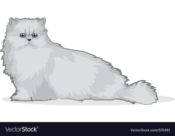 Persian cat vector image Persian cat vector image