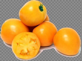 Persimmon Picture Persimmon Picture