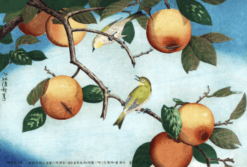 Persimmons and White-Eyes (1880) by Kobayashi | Free Photo Illustration - rawpixel
