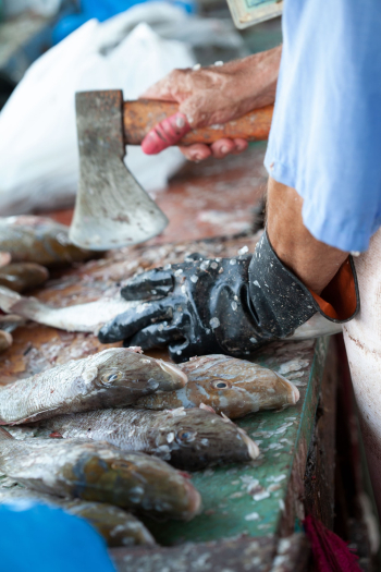 Person Chopping Fishes Person Chopping Fishes