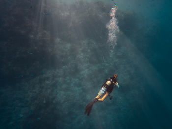 Person Diving on Ocean Person Diving on Ocean