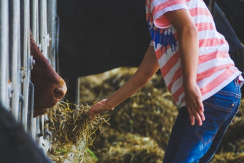 Person Feeding Animal Person Feeding Animal