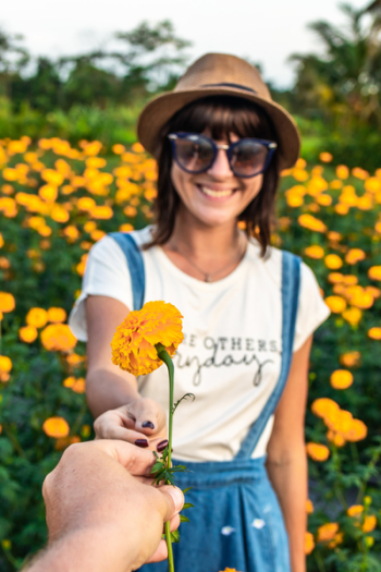 Person Giving Flower To Smiling Woman