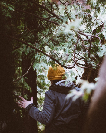 Person holding at tree. Original | Free Photo - rawpixel