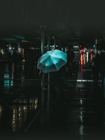 person holding blue umbrella