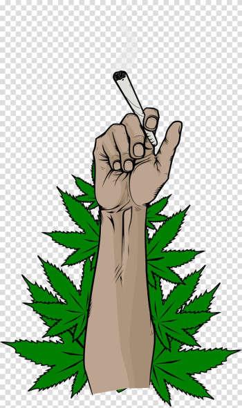 Person holding blunt , Hash, Marihuana & Hemp Museum Medical cannabis , cannabis transparent background PNG clipart