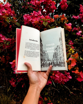 Person Holding Book Person Holding Book