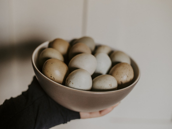 Person Holding Bowl of Eggs Person Holding Bowl of Eggs