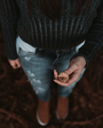 person holding brown nut person holding brown nut