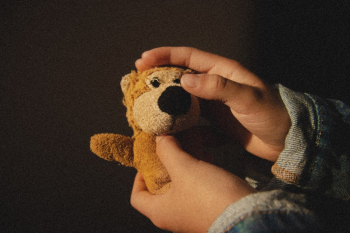 Person Holding Brown Plush Toy Person Holding Brown Plush Toy