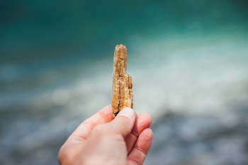 person holding brown wood person holding brown wood
