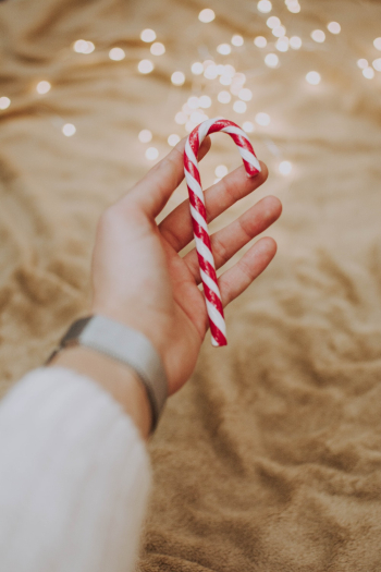 Person Holding Candy Cane Person Holding Candy Cane