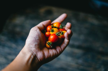 person holding cherry tomatoes person holding cherry tomatoes