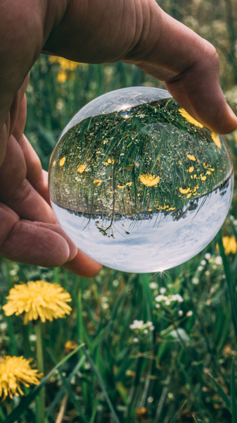 Person Holding Clear Glass Ball Person Holding Clear Glass Ball
