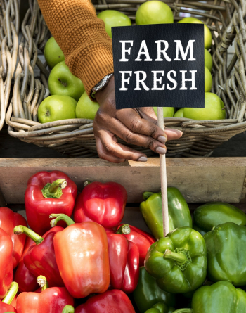 Person Holding Farm Fresh Label next to Bell Peppers Person Holding Farm Fresh Label next to Bell Peppers