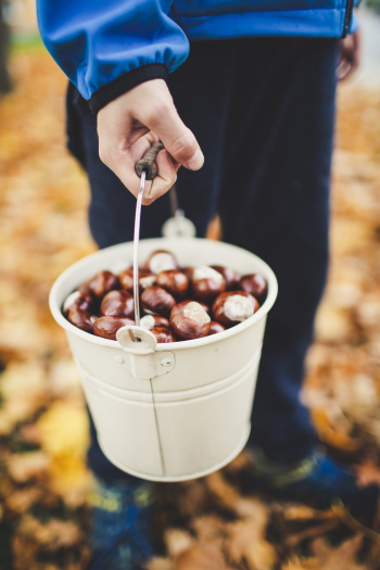 Person Holding Filled Pail Person Holding Filled Pail