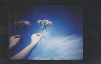 Person Holding Flower Person Holding Flower