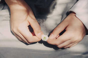Person Holding Flower Person Holding Flower