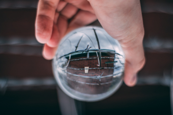 Person Holding Glass Ball Person Holding Glass Ball