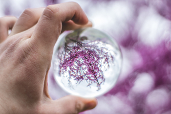 Person Holding Glass Ball Person Holding Glass Ball