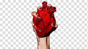 , person holding heart illustration transparent background PNG clipart , person holding heart illustration transparent background PNG clipart
