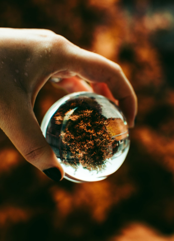Person Holding Lensball Person Holding Lensball