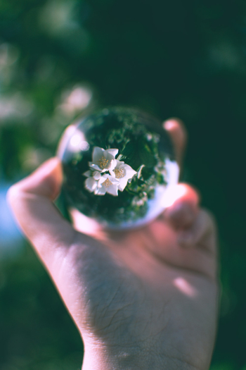 Person Holding Lensball Person Holding Lensball
