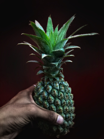 Person Holding Pineapple Person Holding Pineapple