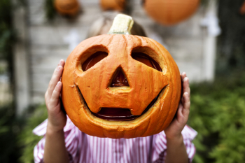 Person Holding Pumpkin Person Holding Pumpkin