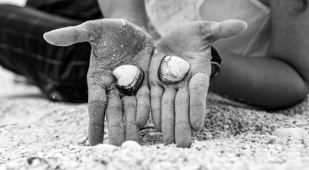 Person Holding Shells Person Holding Shells