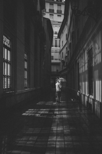 Person Holding Umbrella Person Holding Umbrella