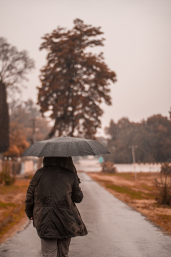 Person Holding Umbrella Person Holding Umbrella