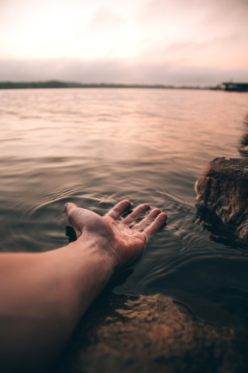 Person Holding Water Person Holding Water