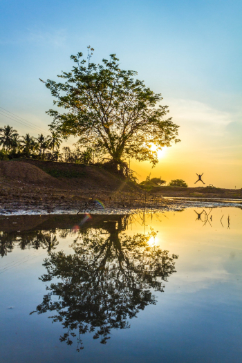 Person Jumping in Green Field Viewing Lake and Trees during Sunrise Person Jumping in Green Field Viewing Lake and Trees during Sunrise