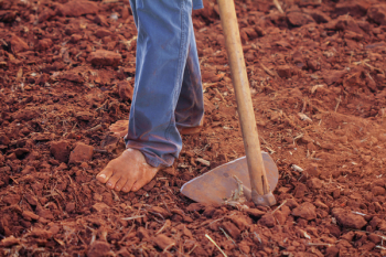 Person Plowing Soil Person Plowing Soil