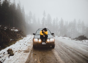 person sitting on vehicle on the road near trees during daytime