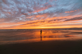 Person Standing At The Beach During Golden Hour Person Standing At The Beach During Golden Hour